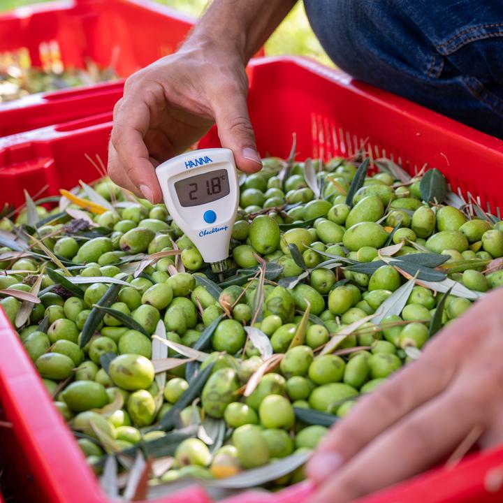 Actual product image Ólixir Organic extra virgin olive oil (50 cl)