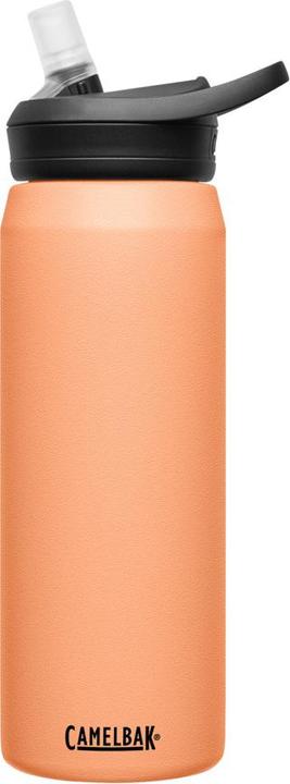 Actual product image Camelbak Fit Cap V.I. (0.75 l)