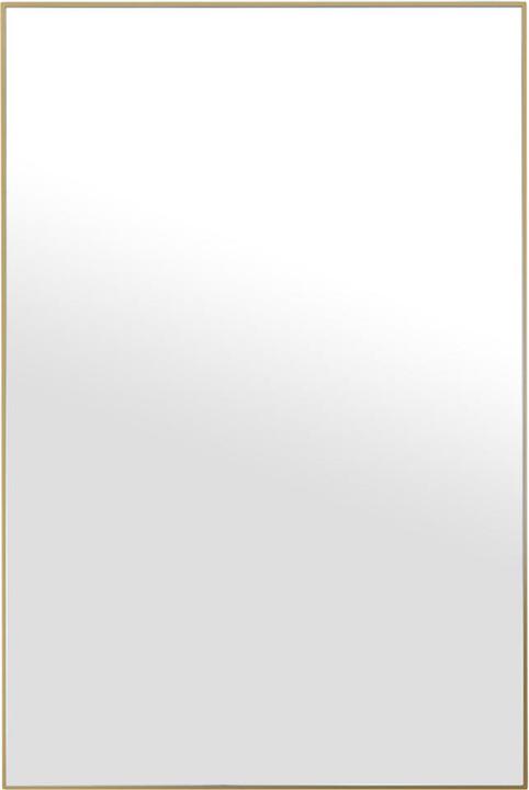 Immagine prodotto Deknudt Master (61 x 91 cm)