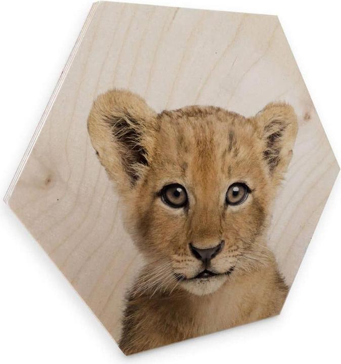 Image du produit Trenddeko Bébé Lion cm (35 x 30 cm)