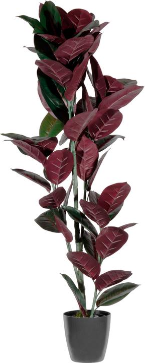 Productafbeelding Paperflow FARN Kunstpflanze 55,0 cm (120 cm)