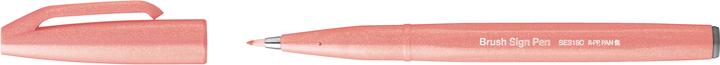 Actual product image Pentel Brush Sign Pen (1x)