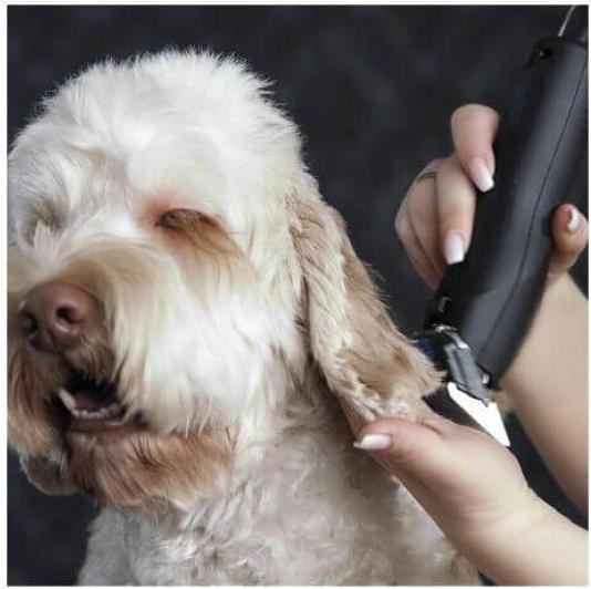 Actual product image Moser Max 50 (Dog, Cat)