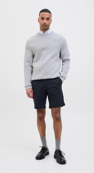 Actual product image Jack & Jones Regular Fit Shorts Shorts (S)
