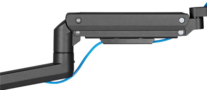Produktbild LogiLink BP0169 (Wand, 49")