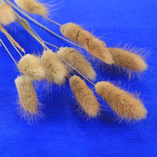 Immagine prodotto Puluz Sfondo della foto