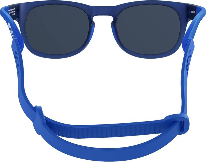 Actual product image Poc Evolve sunglasses