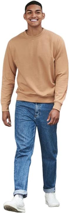 Actual product image Awdis Adult Just Hoods sweatshirt (L)