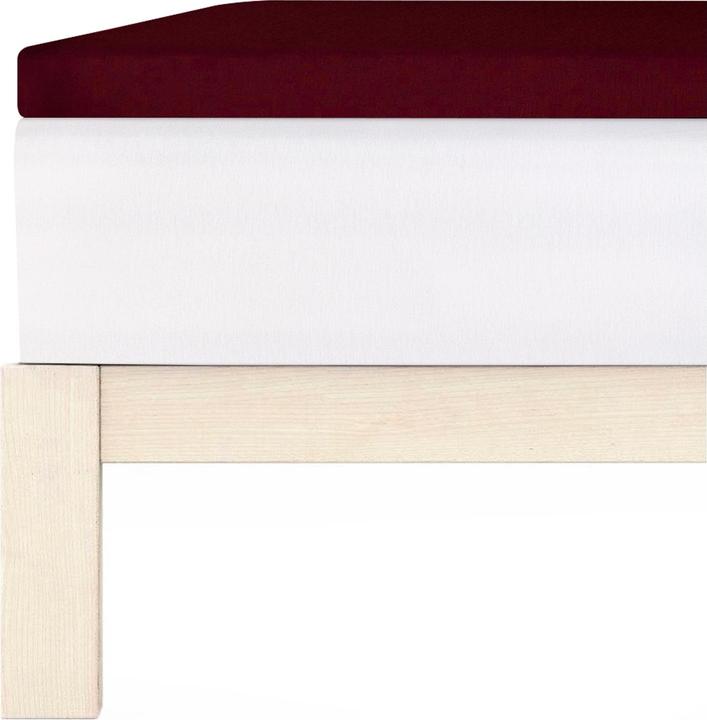 Actual product image Living Home Topper Elastic Jersey (140-160 x 200 cm)