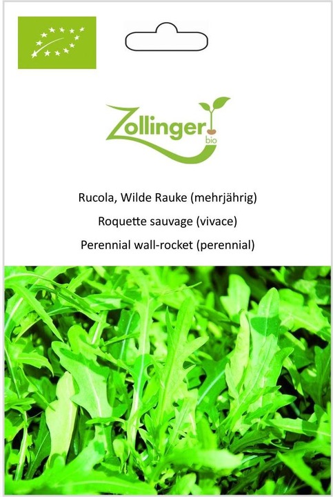 Produktbild Zollinger Bio Rucola, Wilde Rauke (mehrjährig) (Keimlinge)