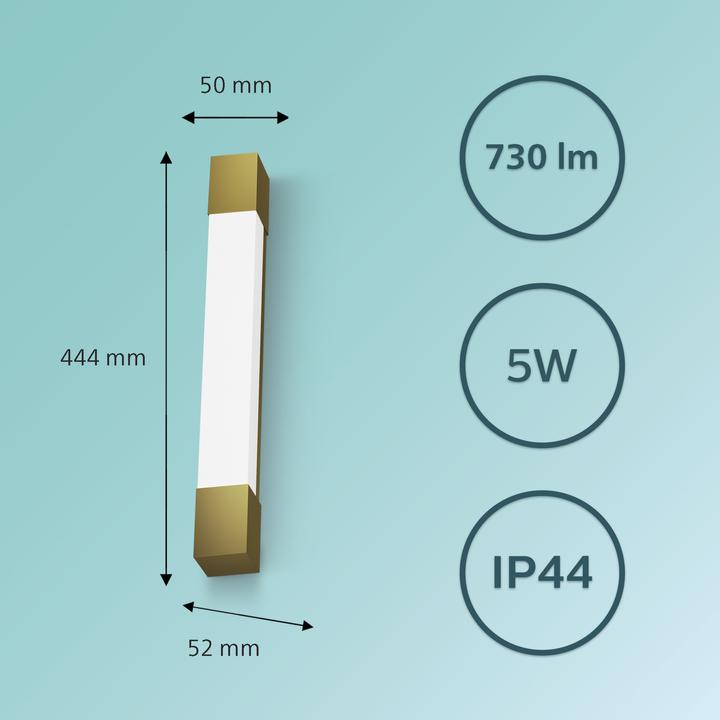 Actual product image Philips Rover (450 lm)