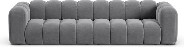 Actual product image Micadoni Lupine