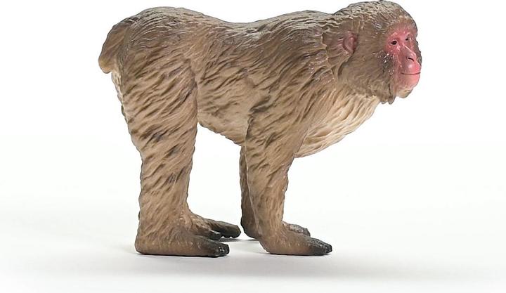 Actual product image Schleich Japanese macaque