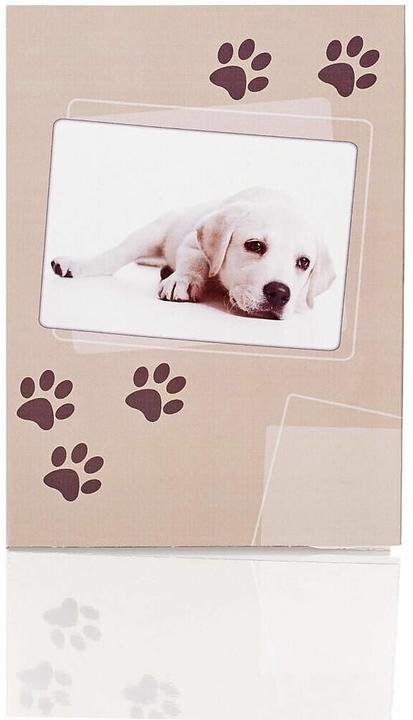 Immagine prodotto Magni Confezione di cancelleria 10/10 Sam zampe di cane (10 pz.)