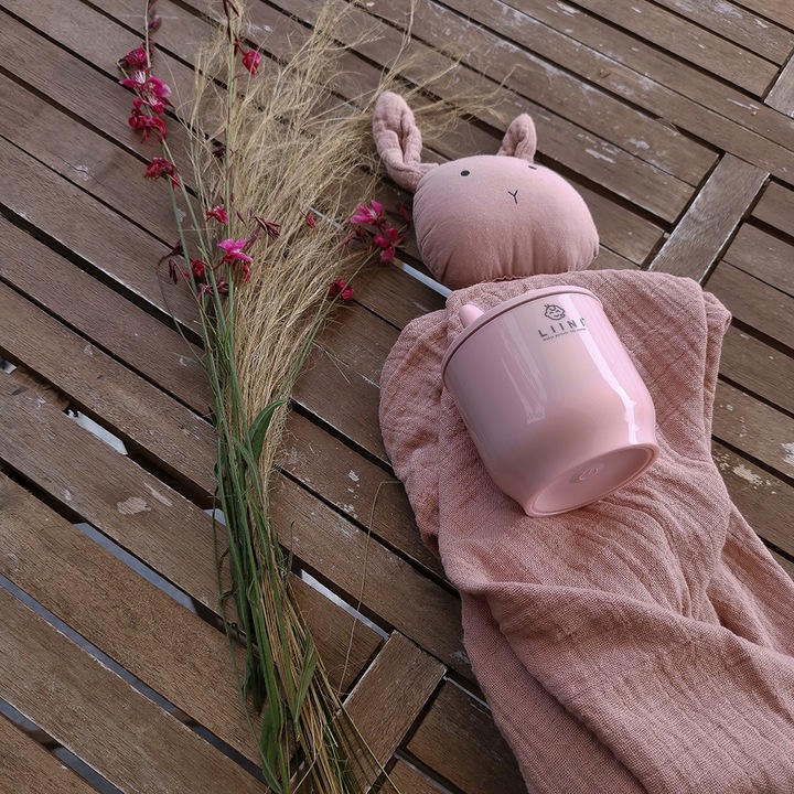 Produktbild Liini Adapter für Tommee Tippee® Babyflaschen