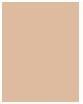 Actual product image Estée Lauder Pure Color Envy (Light Medium Matte)