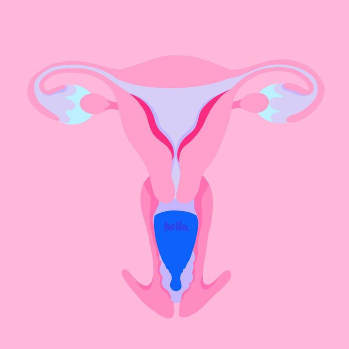 Actual product image Hello. High Cervix (S)