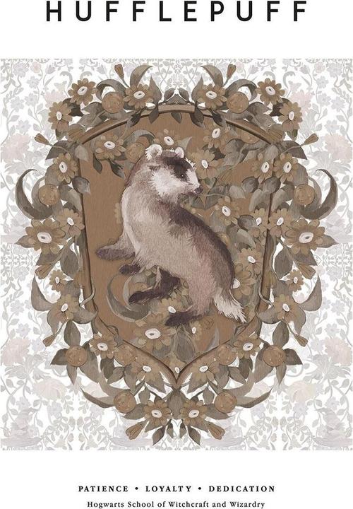 Image du produit Pression de Poufsouffle (40 x 30 cm)