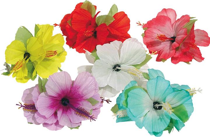 Actual product image Folat Hawaii Flower Hair Clip 6 assort - 1 piece