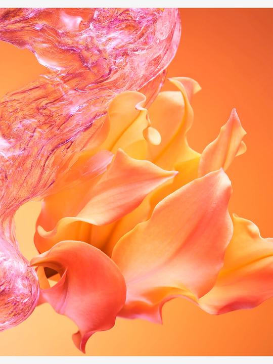 Actual product image Allegra Passeggiata (Eau de parfum, 100 ml)