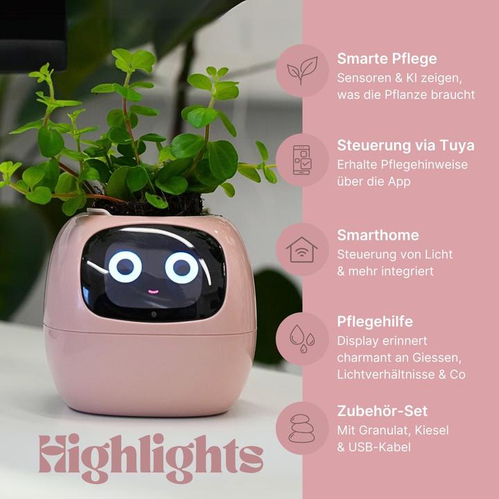 Produktbild Hermex Smarter Blumentopf (9 x 11 x 9 cm)