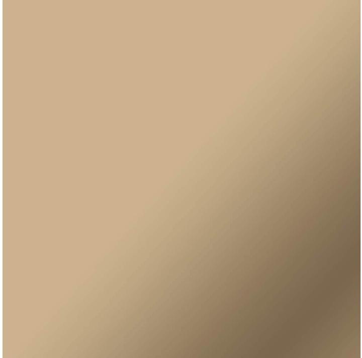 Actual product image Cricut Smrtvnl P Mat Metal Champagne 13in X 3ft