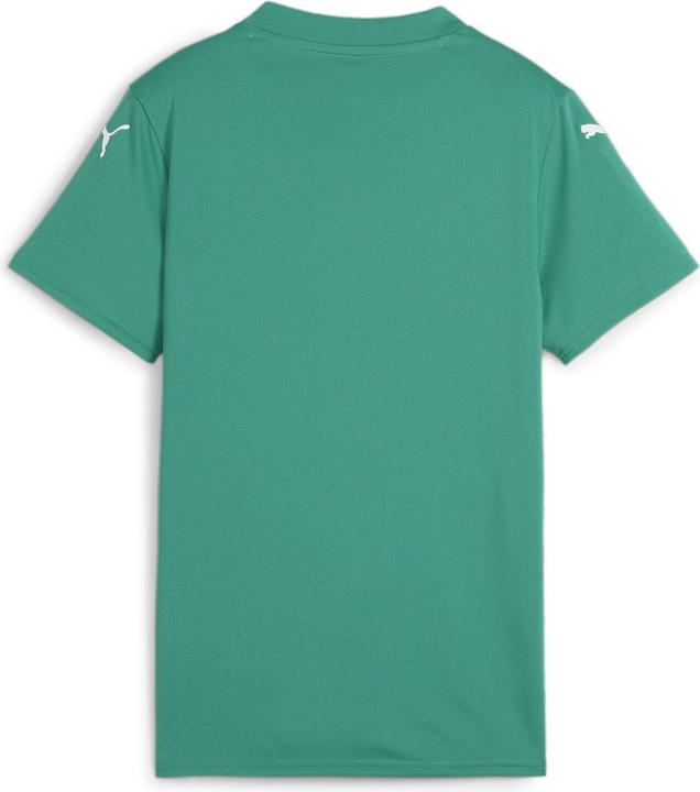 Image du produit Puma teamGLORY Jersey Wmns (XL)