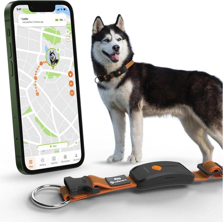 Image du produit Weenect Traceur GPS (XL, Chien, Général)