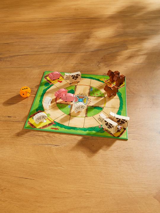 Actual product image Haba My first game treasure (German)