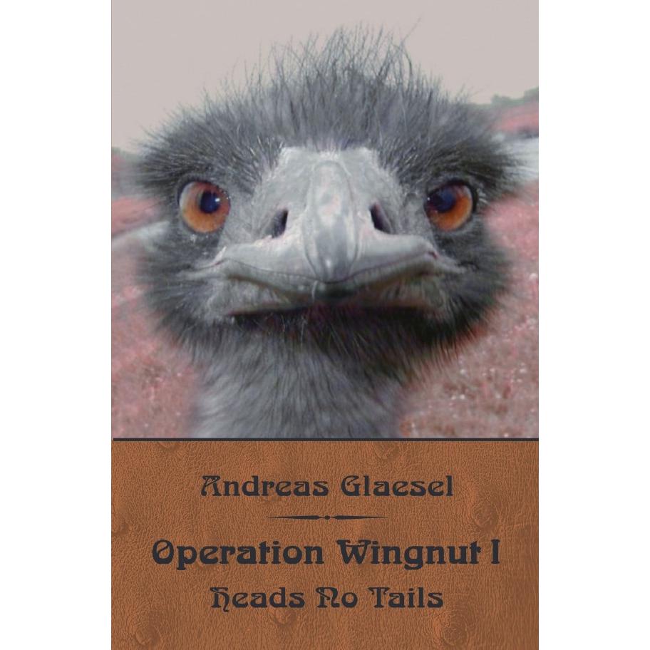 Heads No Tails, Belletristik von Andreas Glaesel