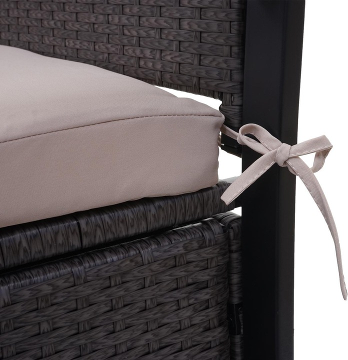 Image du produit Swisshandel24 Poly-Rattan Banc 2 places, Banc de jardin coffre, rangement Coussin d'assise - gris, coussin à