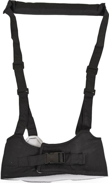 Actual product image Moni harnais de marche bébé Walky