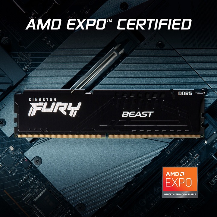 Actual product image Kingston FURY Beast (1 x 16GB, 6000 MHz, DDR5 RAM, DIMM)