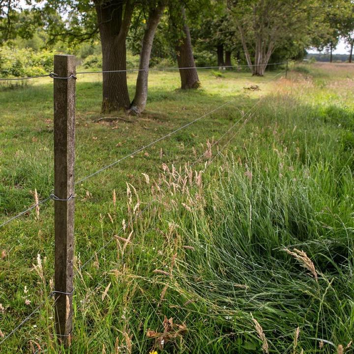 Immagine prodotto Gallagher Insultimber/Eco (x1000)