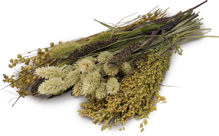 Produktbild JR Farm Knabber-Potpourri (0.05 kg, 1 x)