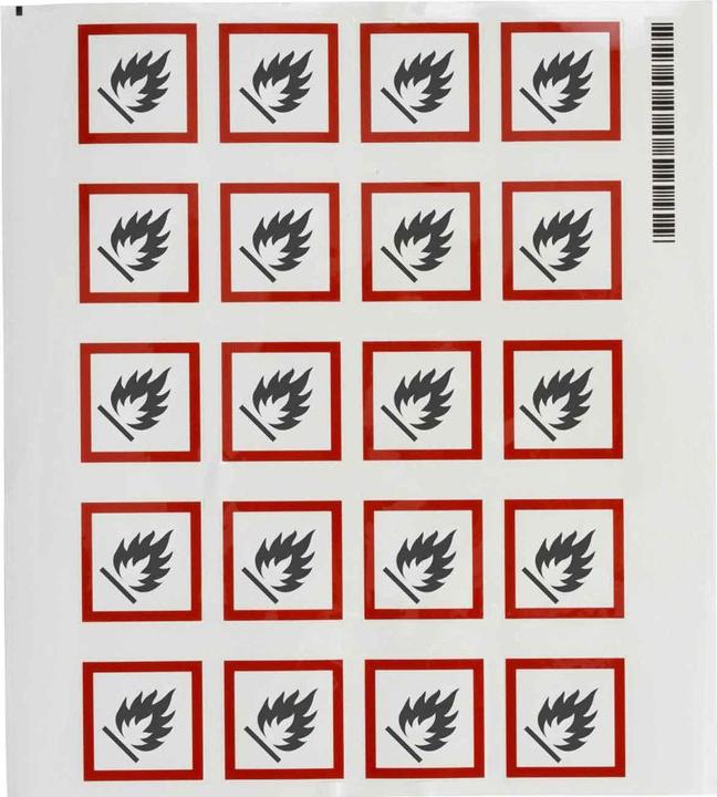 Productafbeelding Brady GHS-pictogrammen - Ontvlambaar