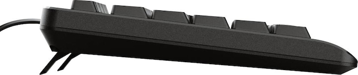 Image du produit Trust Primo Clavier USB QWERTY US Anglais Noir (US, Filaire)