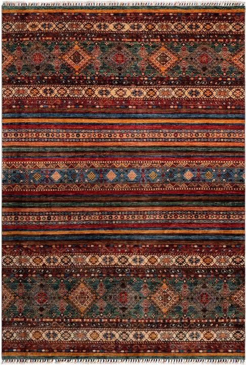 Image du produit Vidal Torkman (172 x 249 cm)