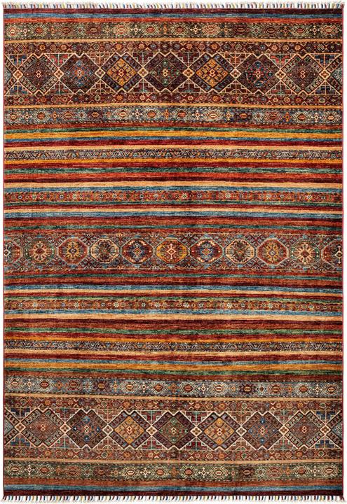 Image du produit Vidal Torkman (177 x 257 cm)