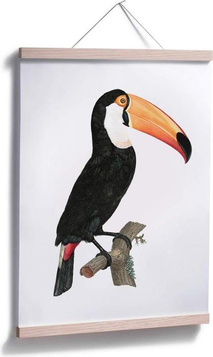Produktbild Trenddeko Tukan auf einem Ast (30 x 40 cm)