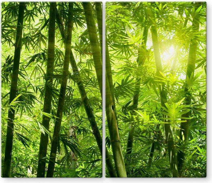 Actual product image Trenddeko Sunshine in the bamboo forest
