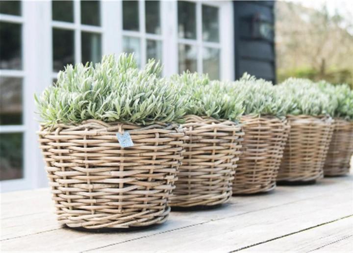 Image du produit Jaco Drypot (52 cm)