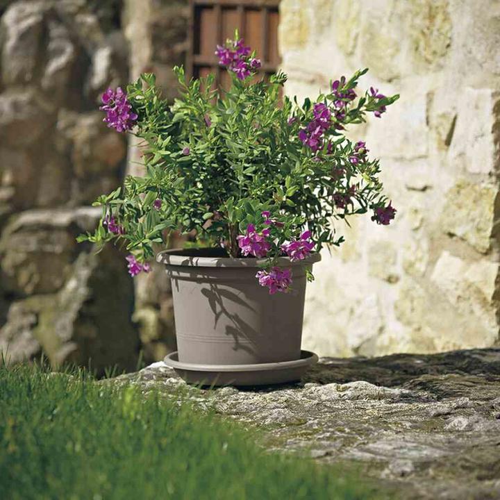 Image du produit Euro3plast Géo (20 cm)