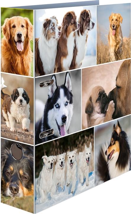 Produktbild HERMA Motivordner (A4, 70 mm)