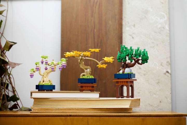 Produktbild LEGO Mini-Bonsais Set (10373, LEGO Botanical)