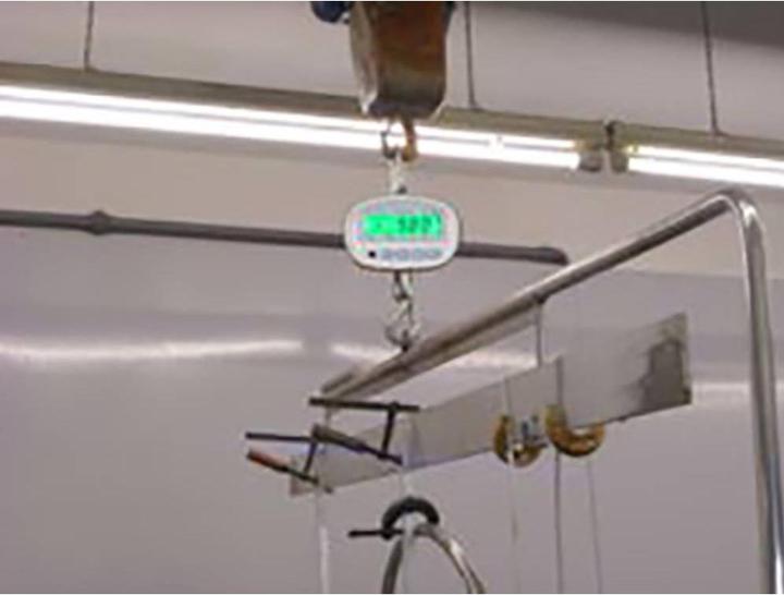 Actual product image PCE Instruments Crane scale