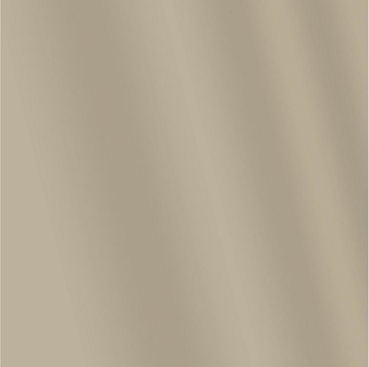 Produktbild Amsterdam Acrylfarbe Standard Series 815 (Zinn, 120 ml)