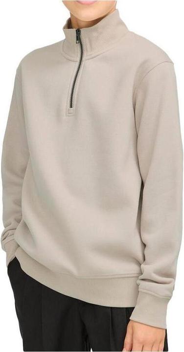 Produktbild Jack & Jones Jjebradley Sweat Half Zip Noos Jnr (128)