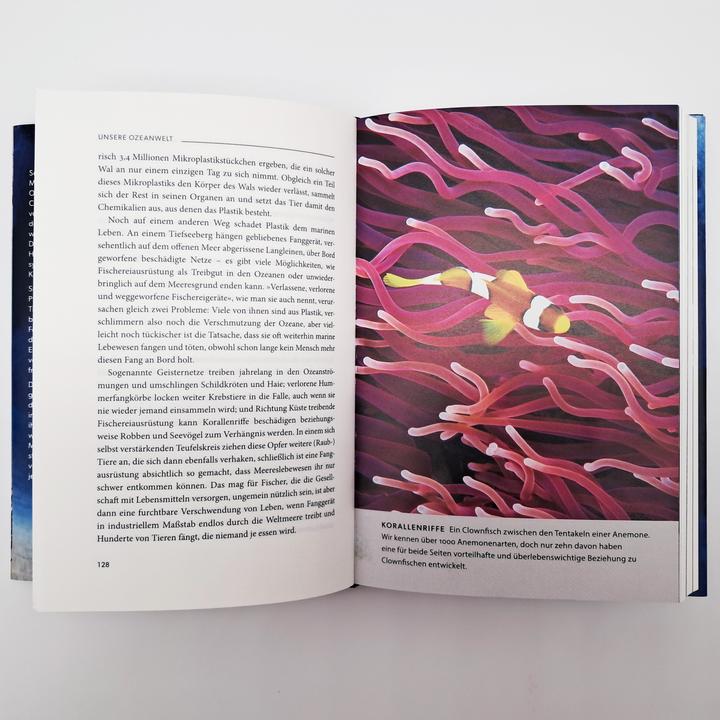 Productafbeelding Ozeane (Colin Butfield, David Attenborough, Duits)