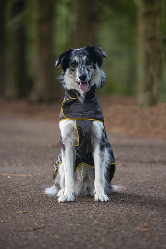 Produktbild Beeztees Hunde-Regenmantel Seja (XL, XXL, Hunderegenmantel)